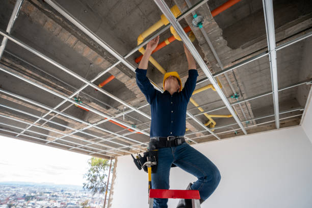 Best Commercial Plumbing Services  in Greenville, IN