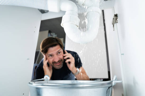 Best Sewer Cleaning Services  in Greenville, IN
